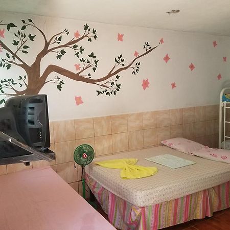 Casa Liz Otel Managua Dış mekan fotoğraf
